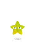 Falling Star Book by Linda Liu