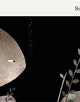 This Is Not My Hat Board Book by Jon Klassen