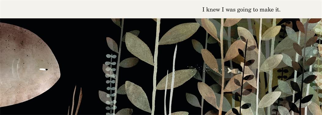This Is Not My Hat Board Book by Jon Klassen