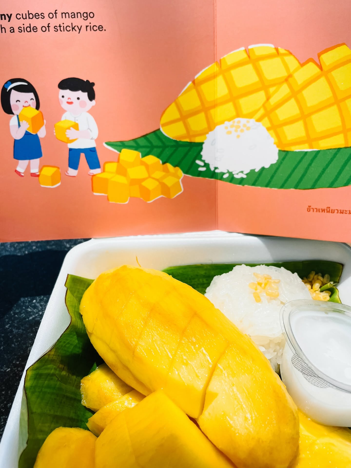 Big Cities, Little Foodies - Bangkok Board Book by Cheryl Yau Chepsuova &amp; Isabel Foo