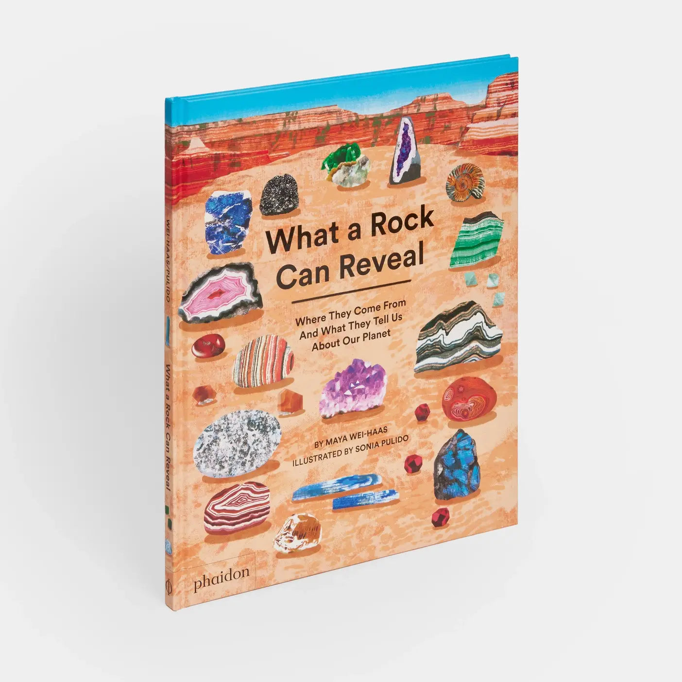 What a Rock Can Reveal by Maya Wei-Haas &amp; Sonia Pulido