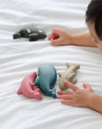 Sea Life Set by Plan Toys