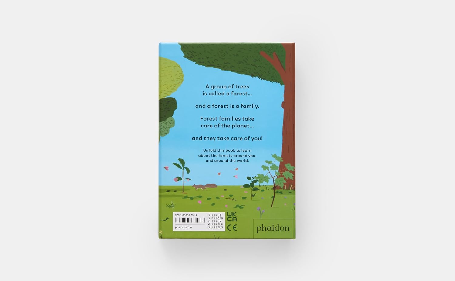 A Family of Trees: My First Book of Forests by Peggy Thomas &amp; Cookie Moon