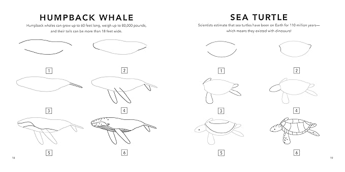 How to Draw Under the Sea for Kids by Alli Koch