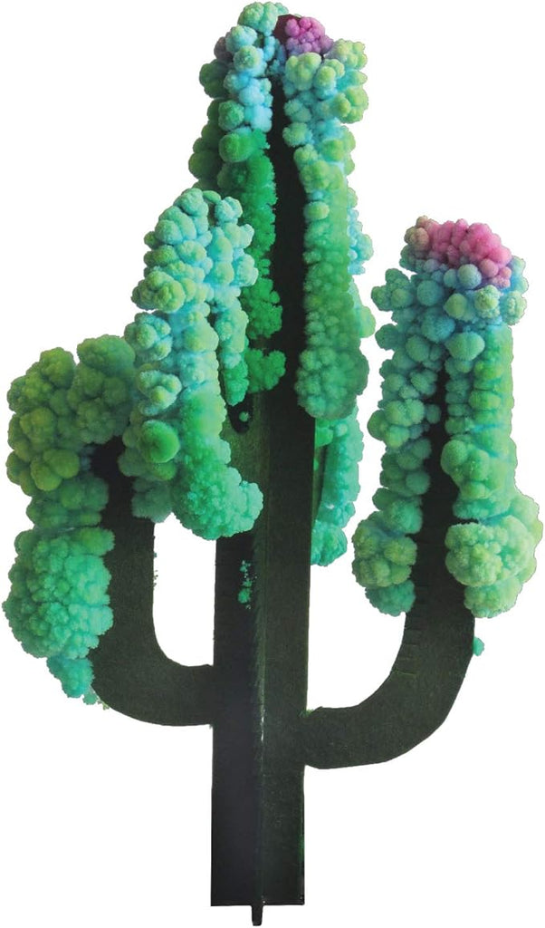 Crystal Growing Saguaro Cactus by Copernicus Toys