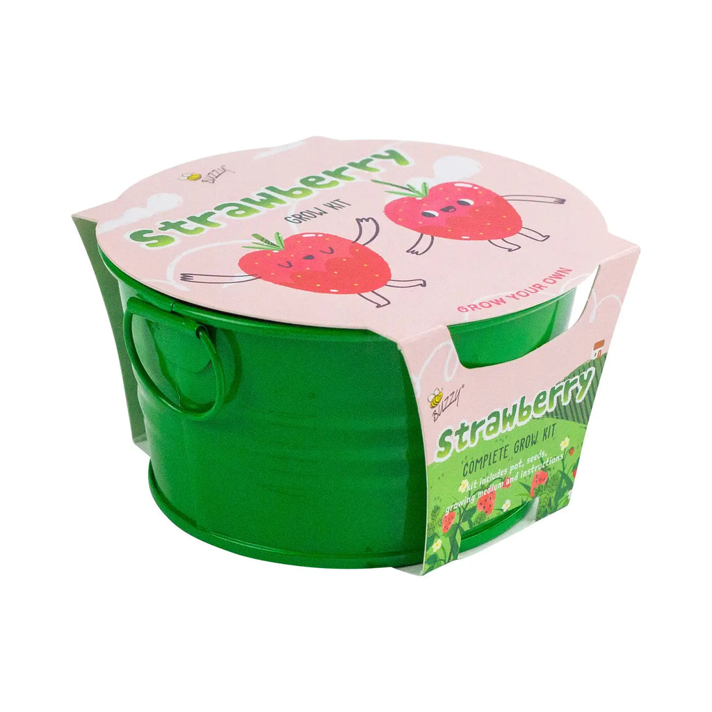 Strawberry Grow Kit by Buzzy, Inc.