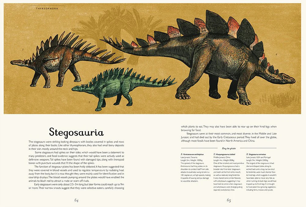 Dinosaurium: Welcome to the Museum Book by Chris Wormell and Lily Murray