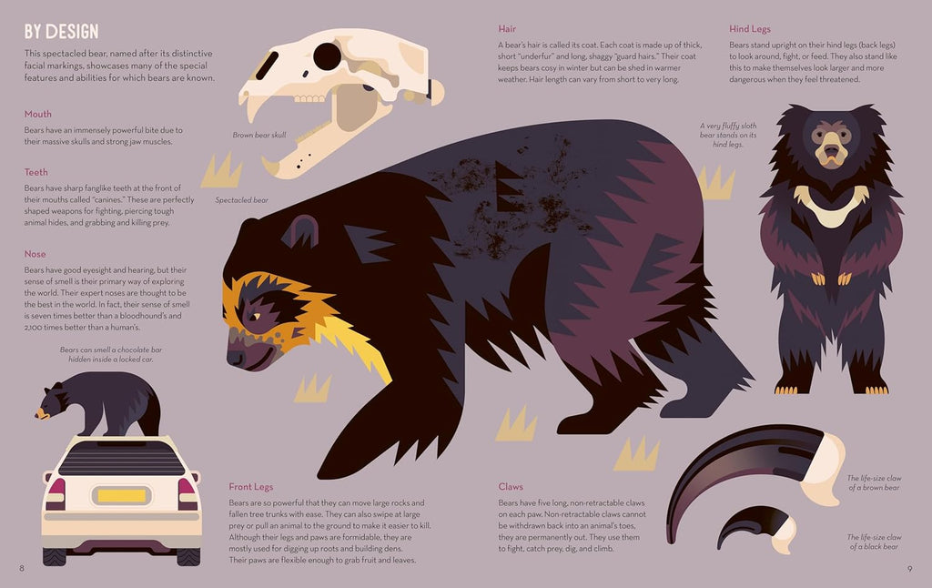 Brainy About Bears Book by Owen Davey