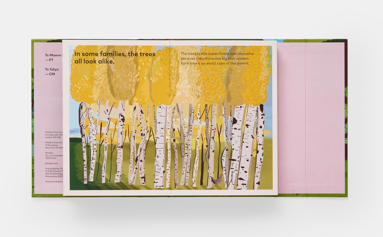 A Family of Trees: My First Book of Forests by Peggy Thomas &amp; Cookie Moon