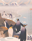Passionate About Penguins Book by Owen Davey