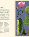 Arboretum: Welcome to the Museum Book by Tony Kirkham & Katie Scott