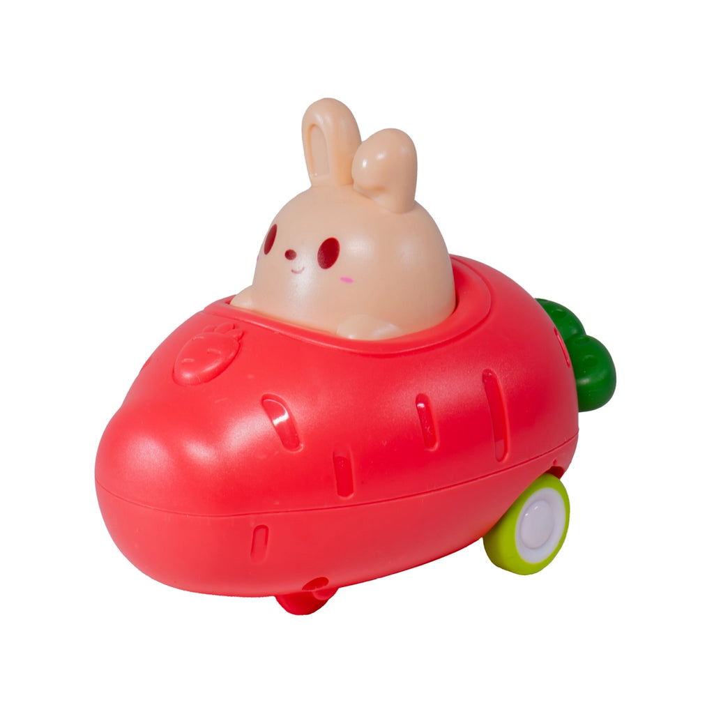 SALE Push N' Go Bunny Car by Toysmith