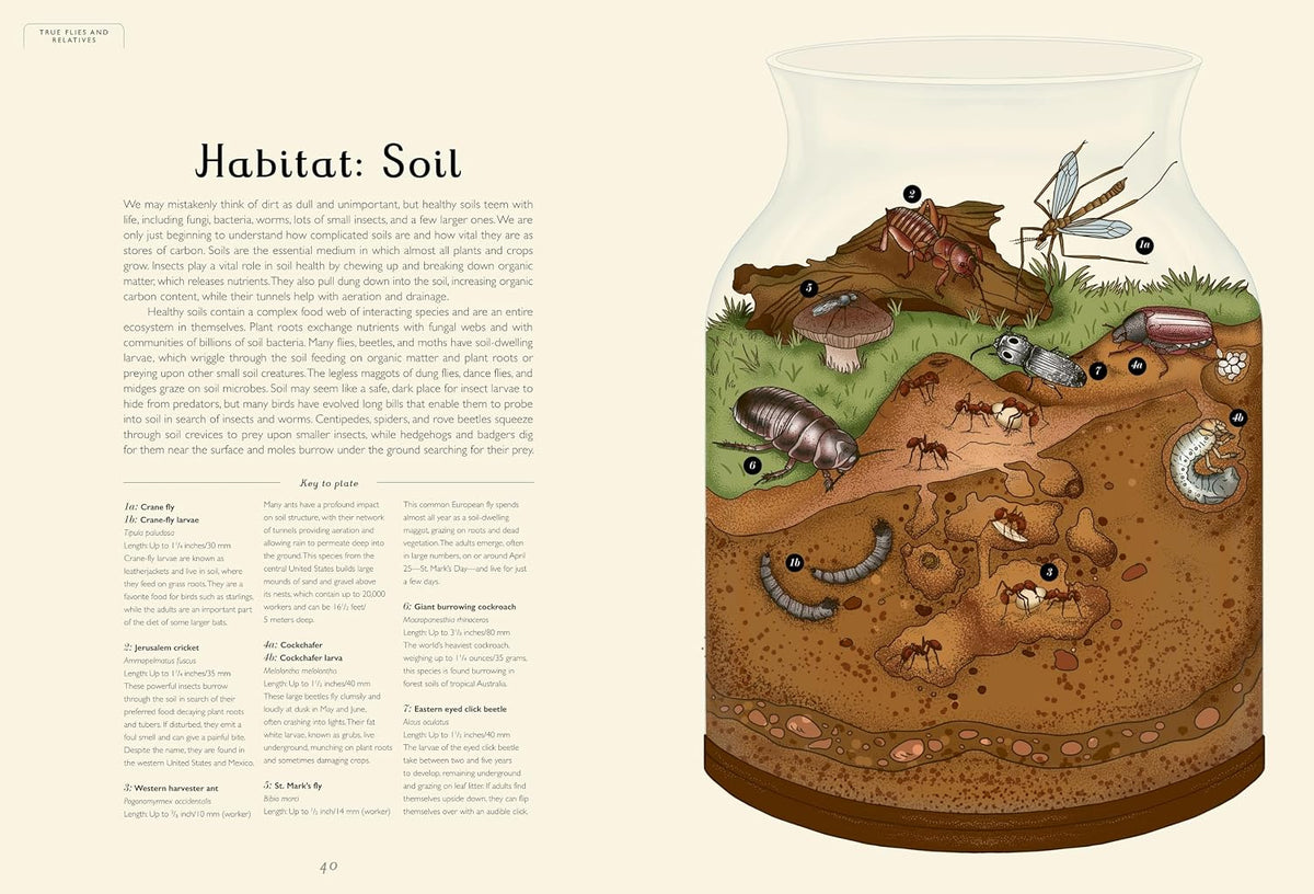 Insectarium: Welcome to the Museum Book by Dave Goulson &amp; Emily Carter