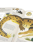 Curious About Crocodiles Book by Owen Davey