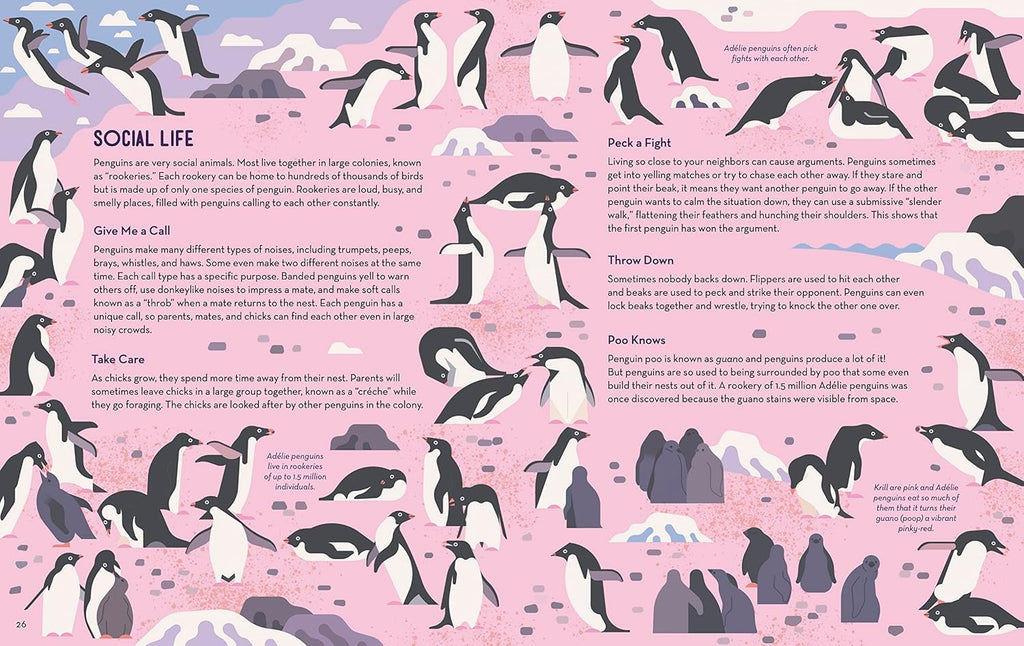 Passionate About Penguins Book by Owen Davey