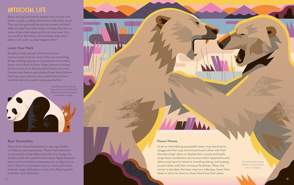 Brainy About Bears Book by Owen Davey