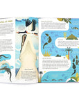 Curious About Crocodiles Book by Owen Davey