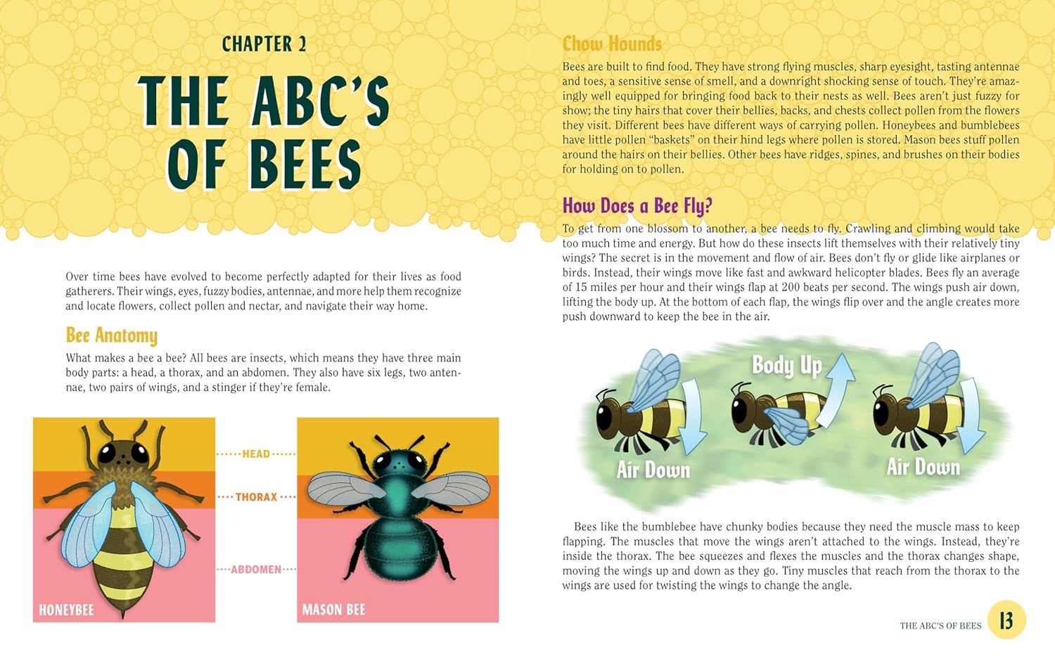 Turn This Book Into A Beehive! - Book by Lynn Brunelle &amp; Anna-Maria Jung