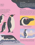Passionate About Penguins Book by Owen Davey