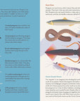 Passionate About Penguins Book by Owen Davey