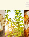 Kismet Cookbook by Sara Kramer & Sarah Hymanson