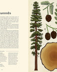 Arboretum: Welcome to the Museum Book by Tony Kirkham & Katie Scott
