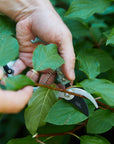 Garden Pruners by Modern Sprout