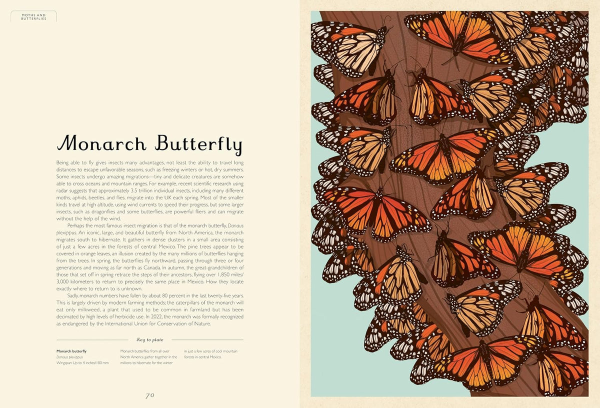Insectarium: Welcome to the Museum Book by Dave Goulson &amp; Emily Carter