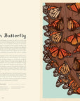 Insectarium: Welcome to the Museum Book by Dave Goulson & Emily Carter