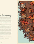 Insectarium: Welcome to the Museum Book by Dave Goulson and Emily Carter