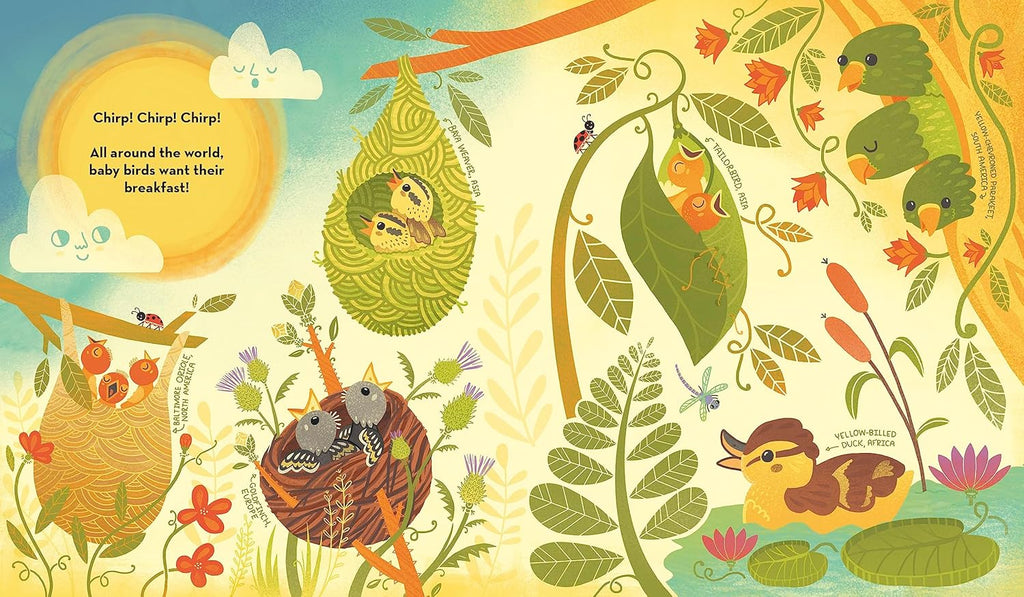 What's Inside A Bird's Nest?: And Other Questions About Nature & Life Cycles Book by Rachel Ignotofsky