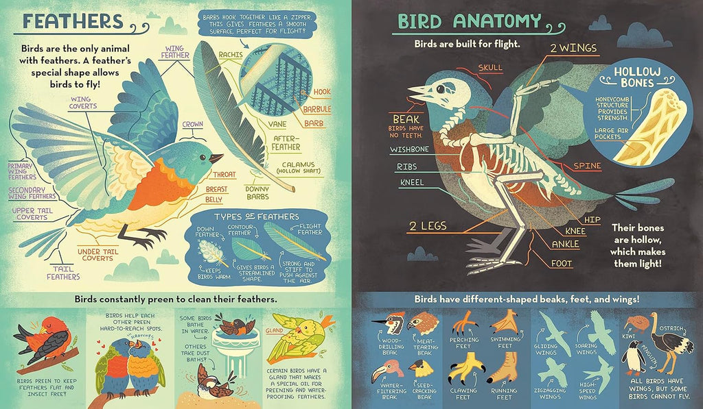 What's Inside A Bird's Nest?: And Other Questions About Nature & Life Cycles Book by Rachel Ignotofsky