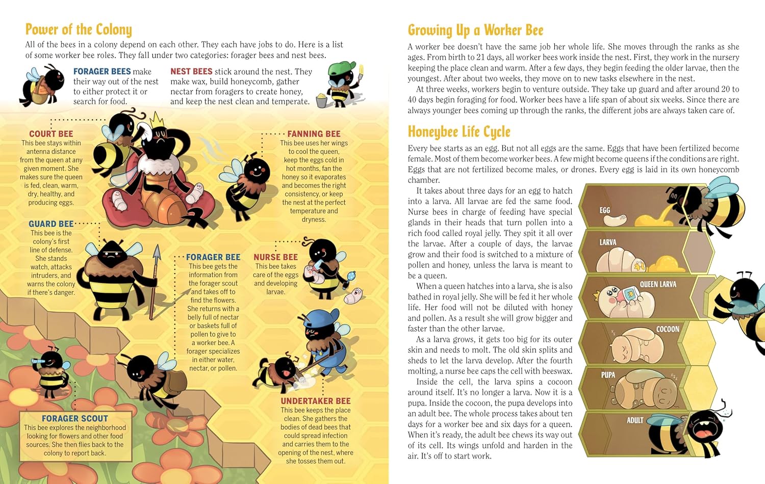 Turn This Book Into A Beehive! - Book by Lynn Brunelle &amp; Anna-Maria Jung