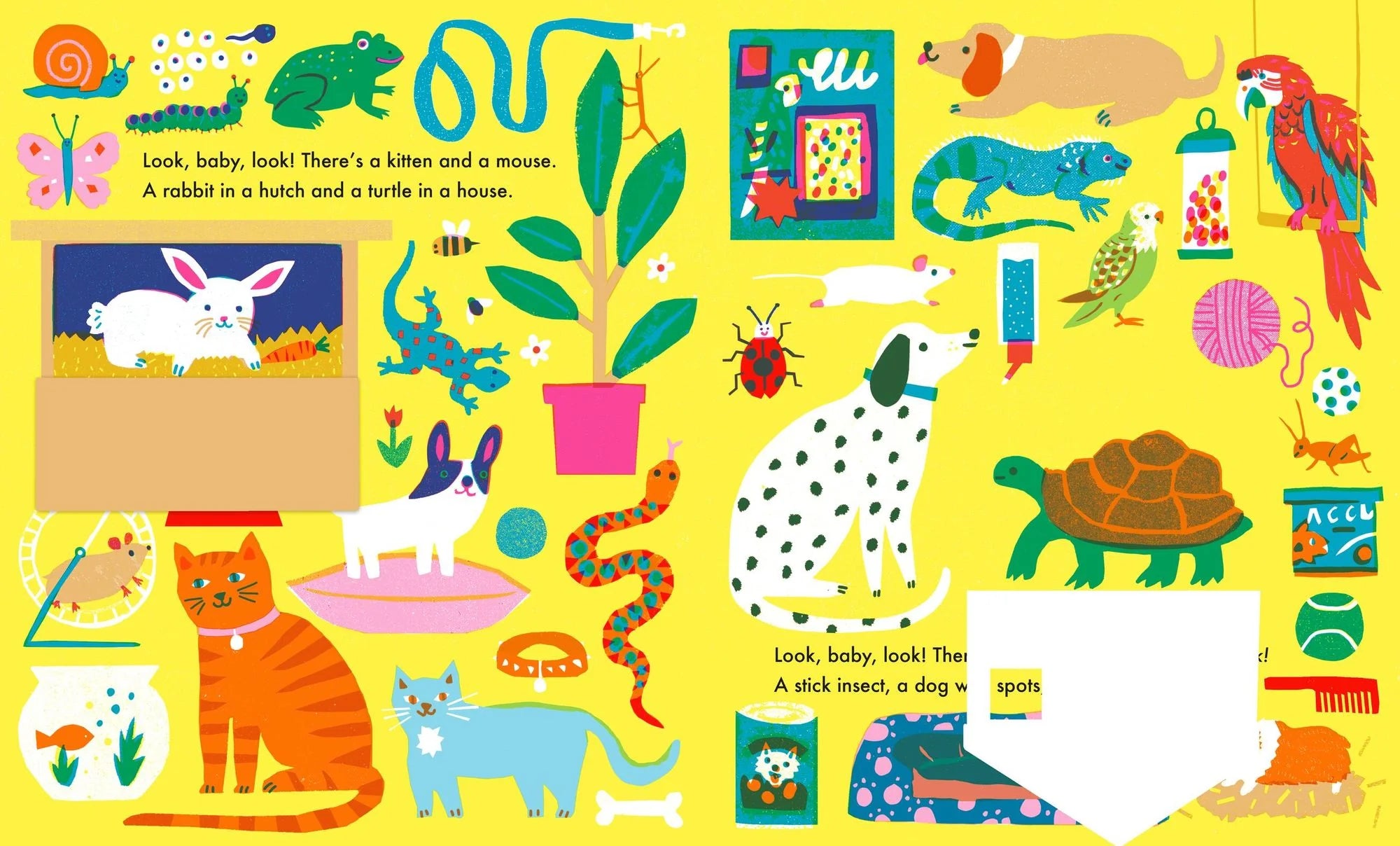 At Home - Look Baby Look Board Book by Louise Lockhart