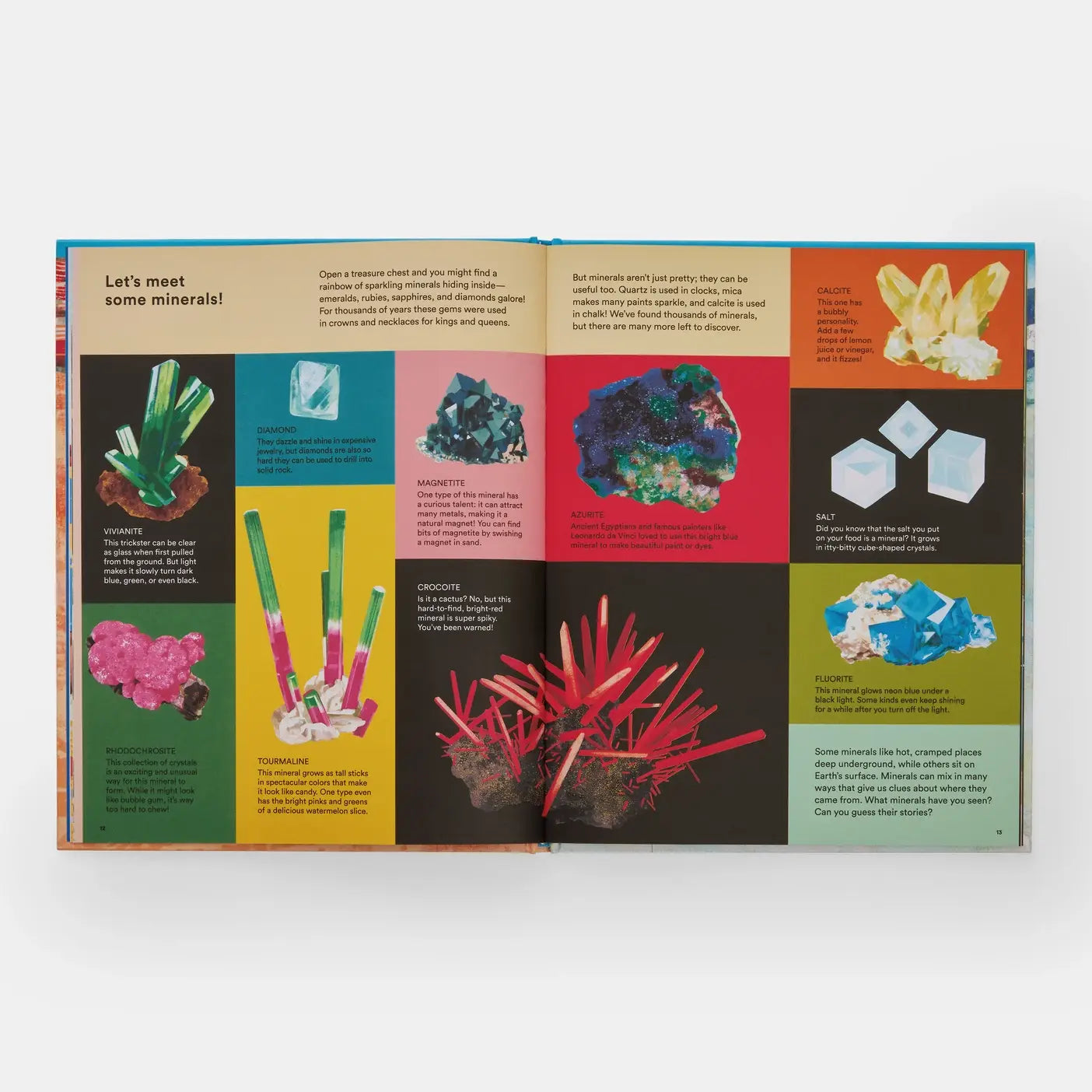 What a Rock Can Reveal by Maya Wei-Haas &amp; Sonia Pulido