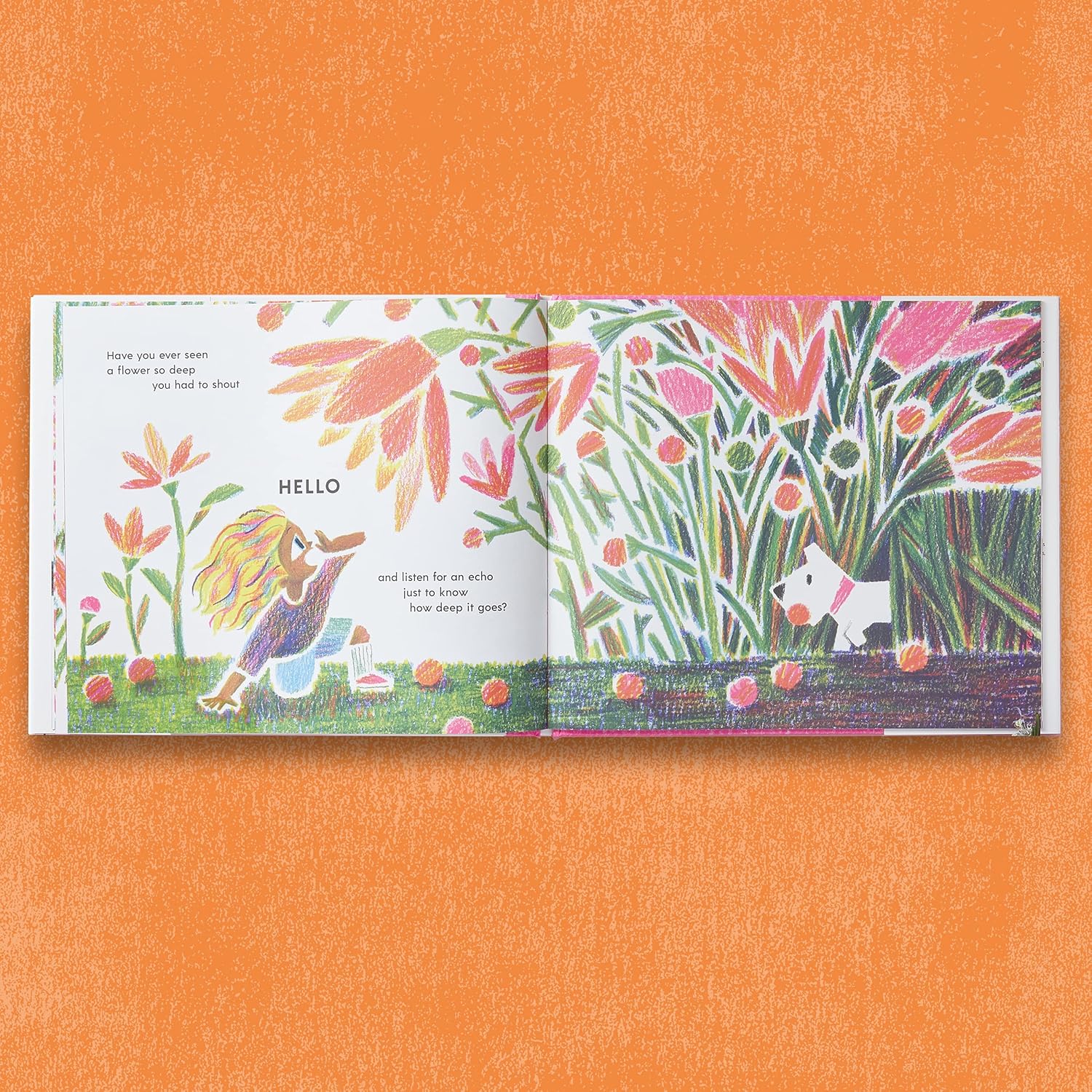 Have You Ever Seen A Flower? Book by Shawn Harris