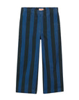 Blue Stripes Corduroy Pants
