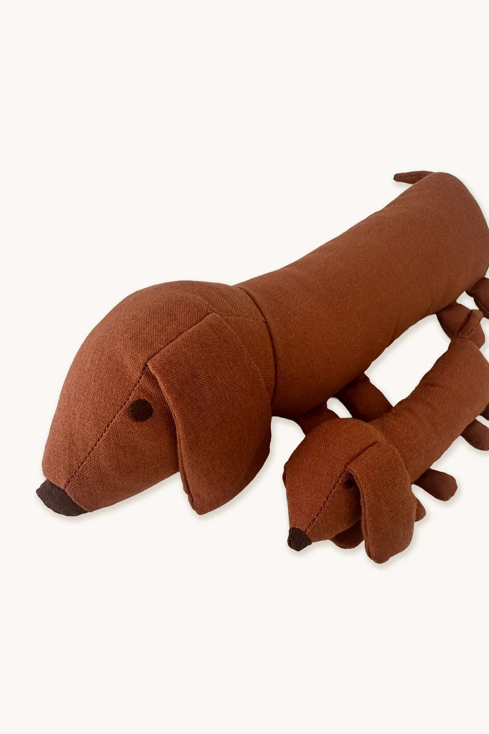 Small Soft Dog