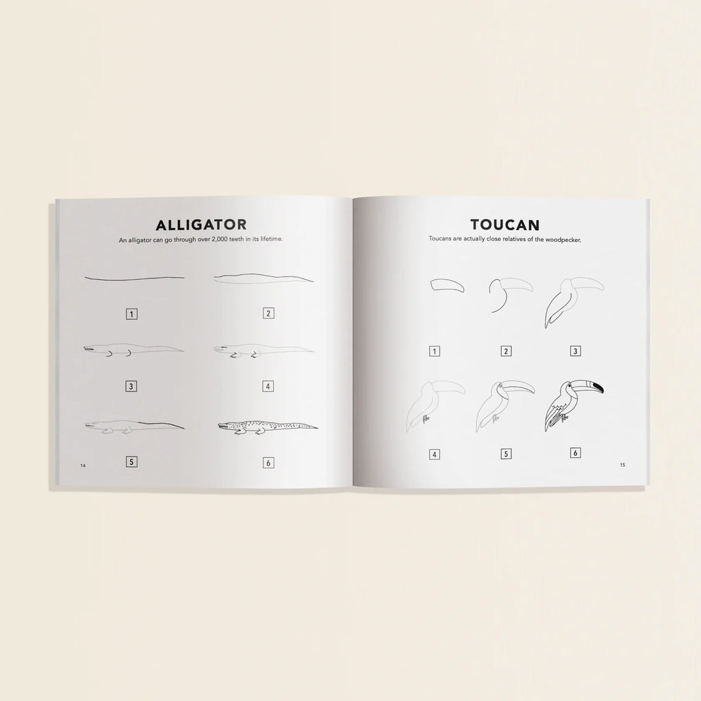 How to Draw All the Animals : For Kids by Alli Koch