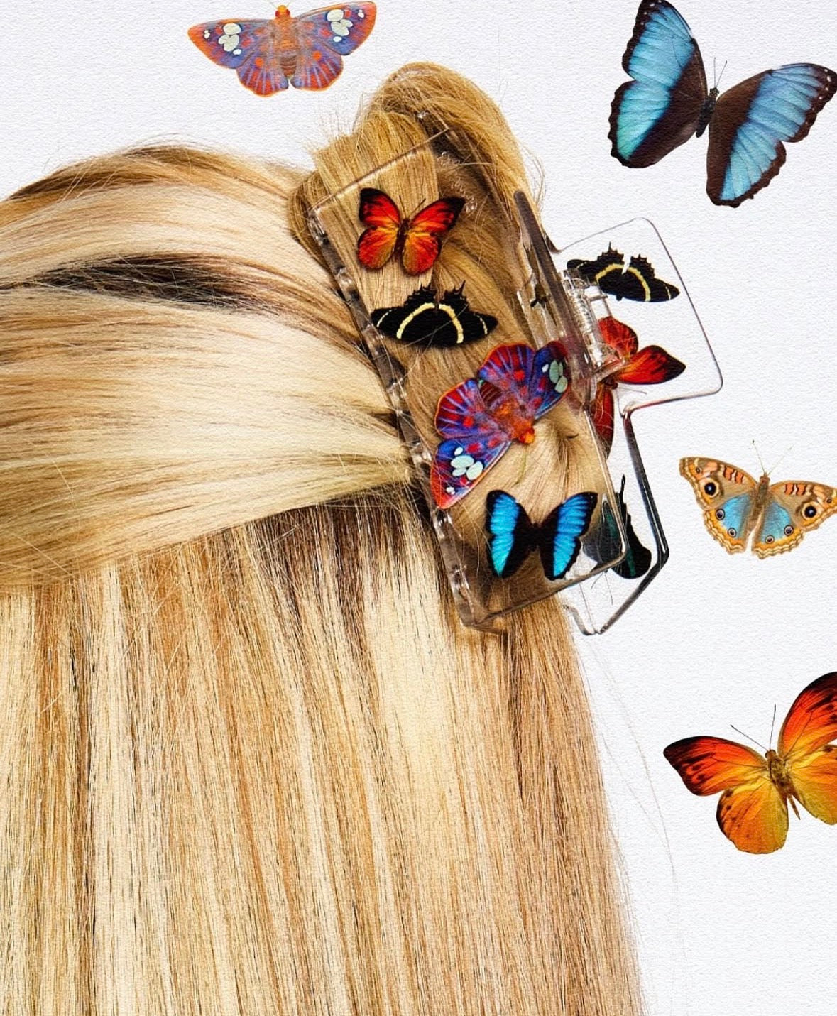 Box Claw in Butterfly