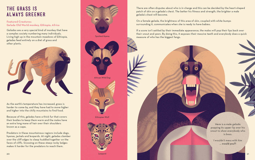 Mad About Monkeys Book by Owen Davey