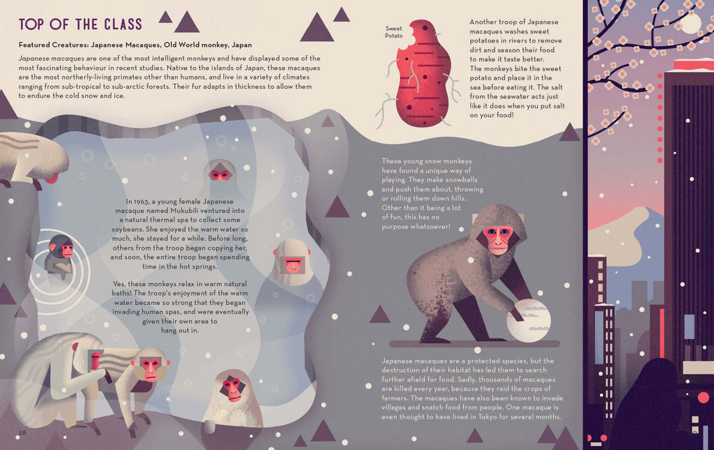 Mad About Monkeys Book by Owen Davey