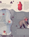 Mad About Monkeys Book by Owen Davey