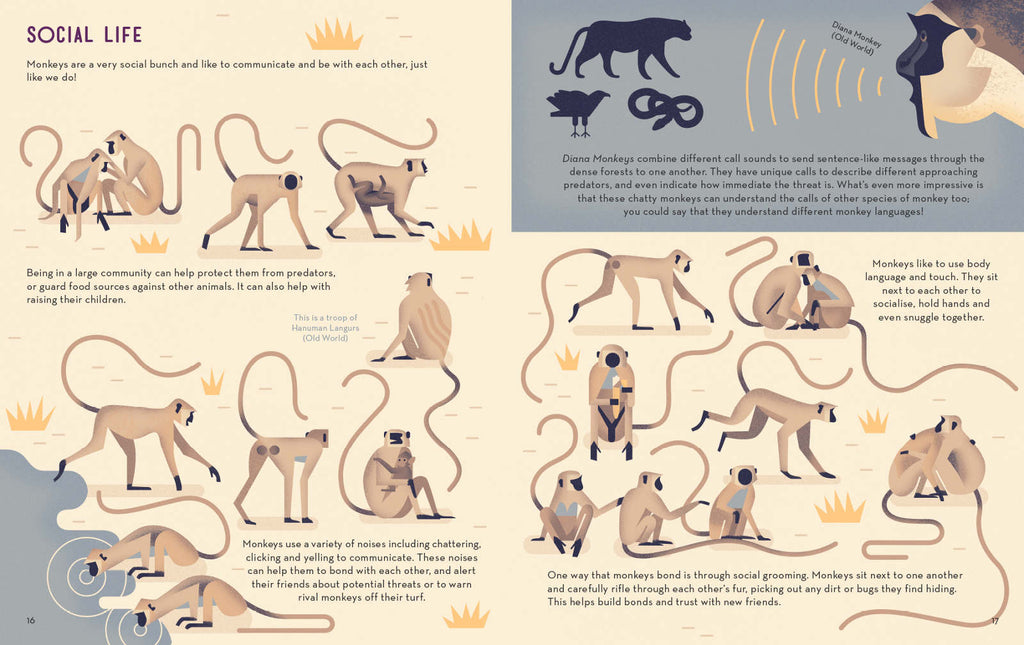 Mad About Monkeys Book by Owen Davey