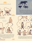 Mad About Monkeys Book by Owen Davey