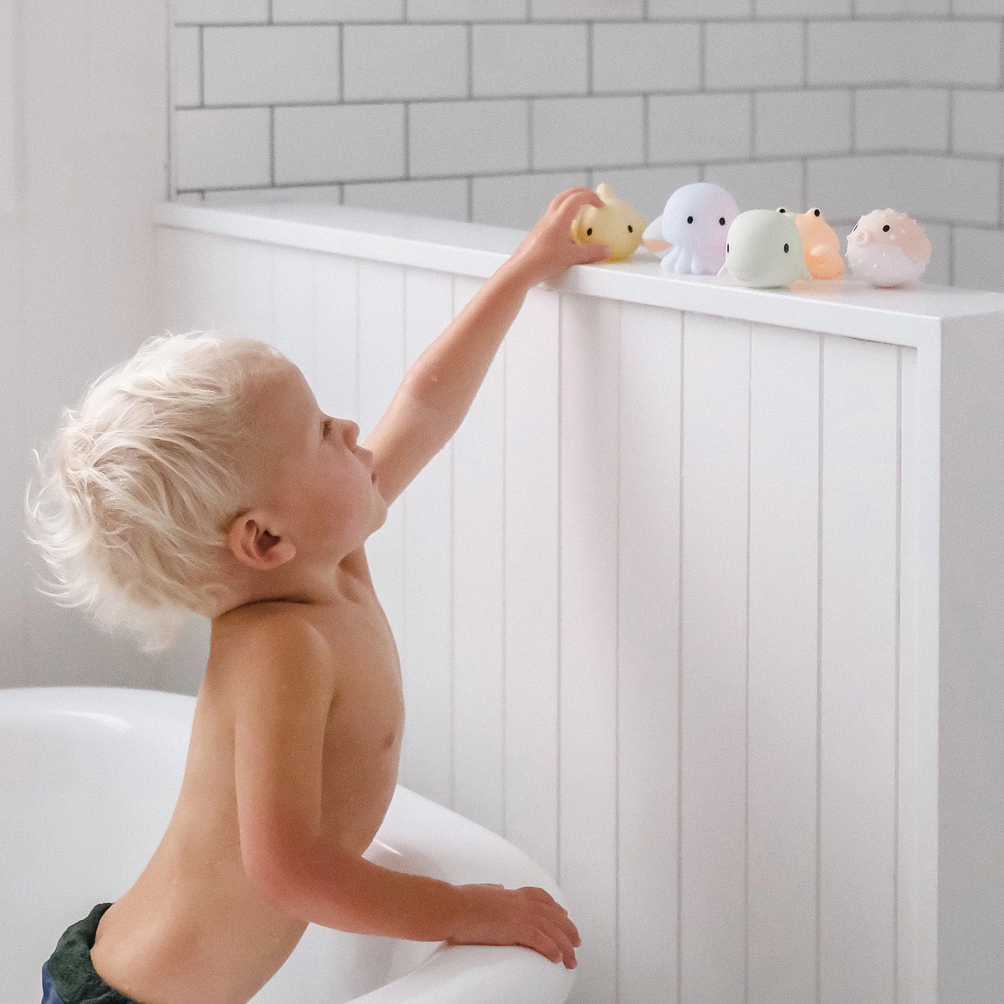 Sea Animal Splash Toys - Apple Sorbet