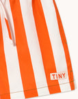 Stripe Twill Shorts