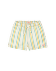 Multicolor Stripe Shorts
