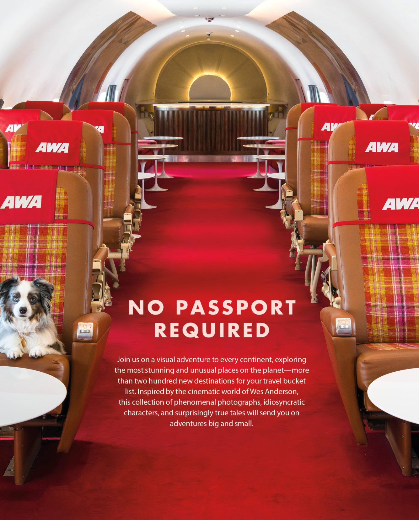 Accidentally Wes Anderson by Wally Koval