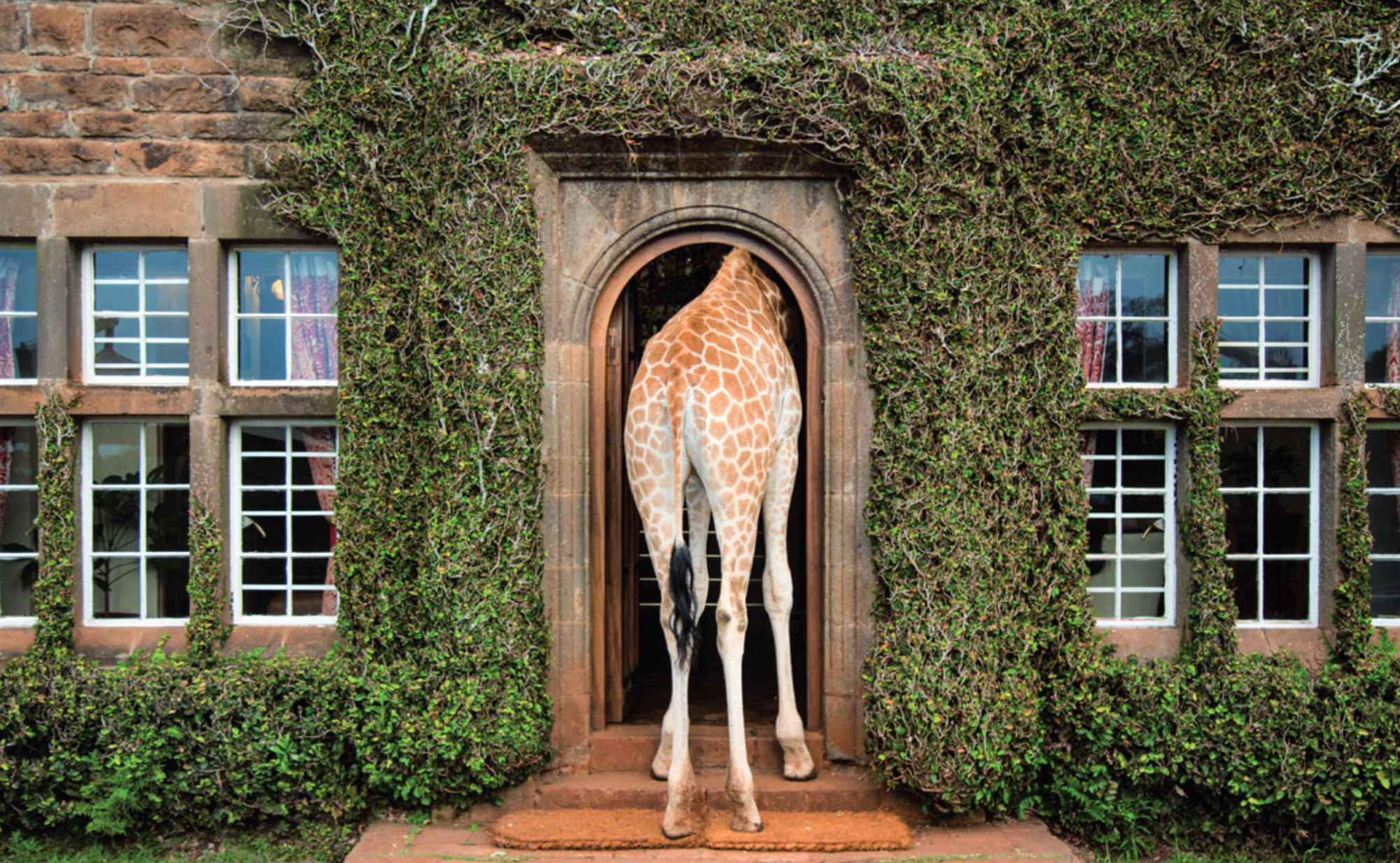 Accidentally Wes Anderson by Wally Koval